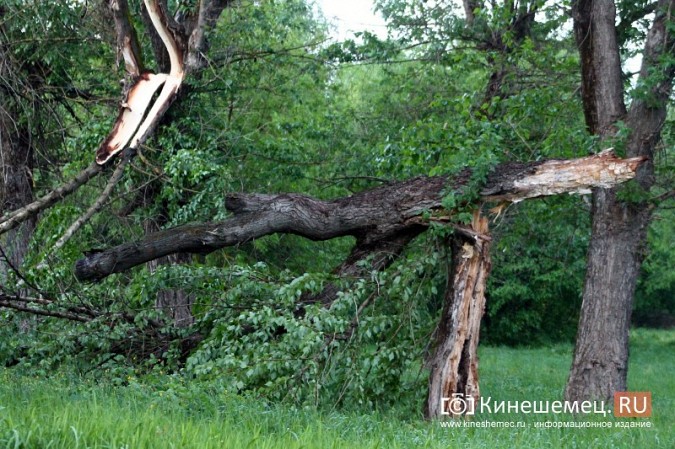 В Кинешме ураганным ветром ломало деревья, рвало линии электропередач, разрушало лоджии фото 20