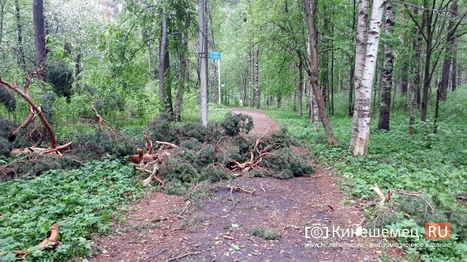 В Кинешме ураганным ветром ломало деревья, рвало линии электропередач, разрушало лоджии фото 7