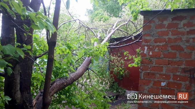 В Кинешме ураганным ветром ломало деревья, рвало линии электропередач, разрушало лоджии фото 21