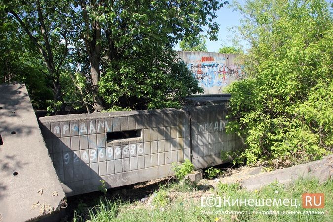 Жители ул.Ванцетти, 44 против застройки своей «зеленой зоны» многоэтажками фото 13
