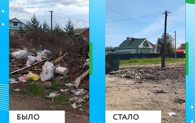 После жалоб жителей с ул.Бойцова в соцсетях и СМИ, мусор за контейнерной площадкой был убран фото 2
