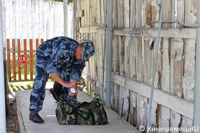 Кинешемские кинологи лучшие в Ивановской области фото 26