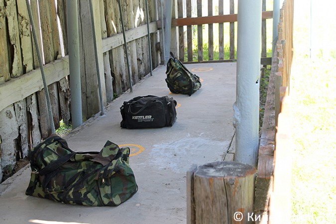 Кинешемские кинологи лучшие в Ивановской области фото 27