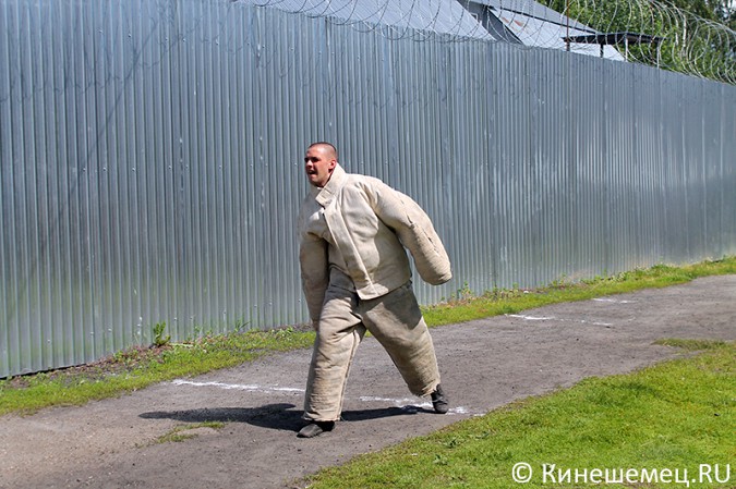 Кинешемские кинологи лучшие в Ивановской области фото 29