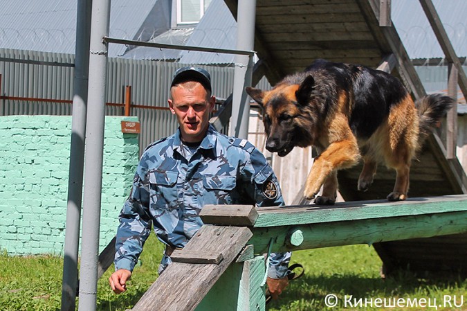 Кинешемские кинологи лучшие в Ивановской области фото 14