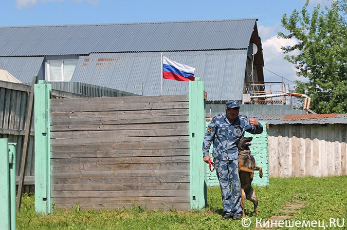 Кинешемские кинологи лучшие в Ивановской области фото 25