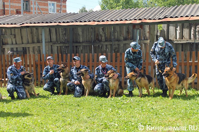 Кинешемские кинологи лучшие в Ивановской области фото 34