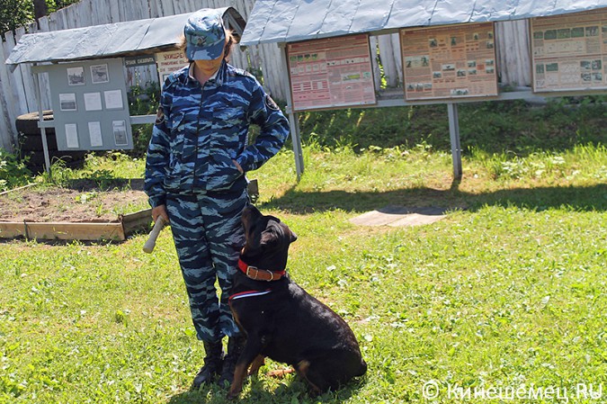 Кинешемские кинологи лучшие в Ивановской области фото 19