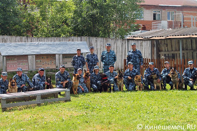 Кинешемские кинологи лучшие в Ивановской области фото 35