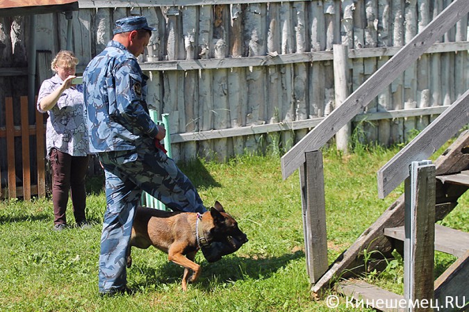 Кинешемские кинологи лучшие в Ивановской области фото 24