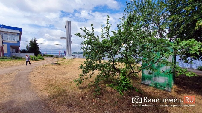 В Кинешме идут последние приготовления к историческому заплыву через Волгу фото 3