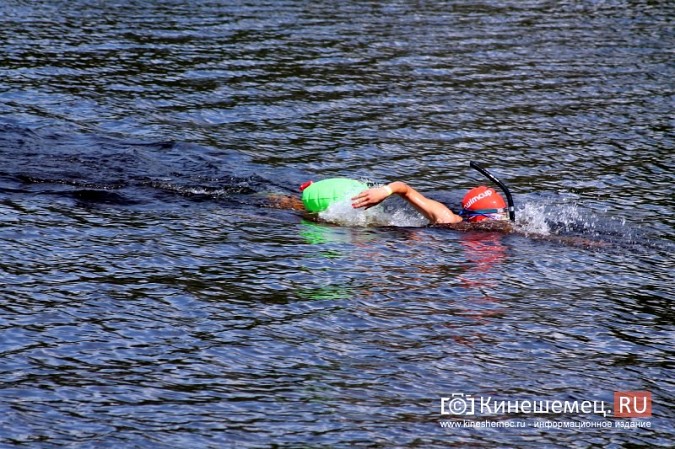 Волгу в Кинешме в рамках «Swimсup» переплыли более 130 участников фото 49