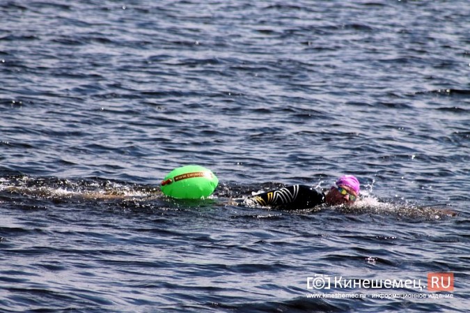 Волгу в Кинешме в рамках «Swimсup» переплыли более 130 участников фото 66