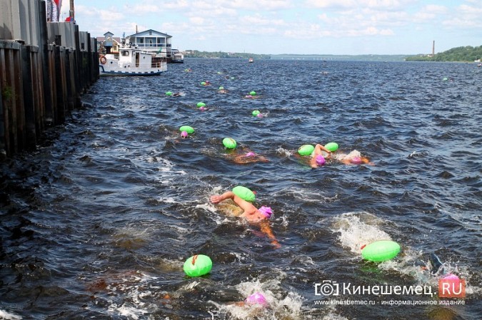Волгу в Кинешме в рамках «Swimсup» переплыли более 130 участников фото 93