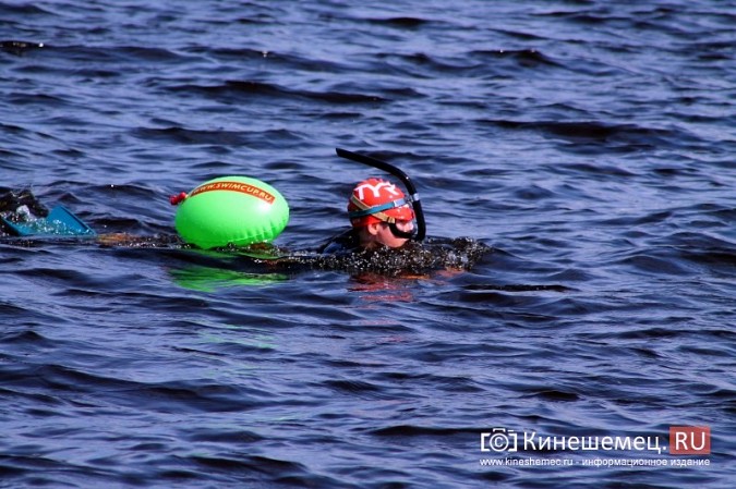 Волгу в Кинешме в рамках «Swimсup» переплыли более 130 участников фото 47