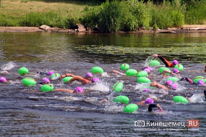 Волгу в Кинешме в рамках «Swimсup» переплыли более 130 участников фото 60