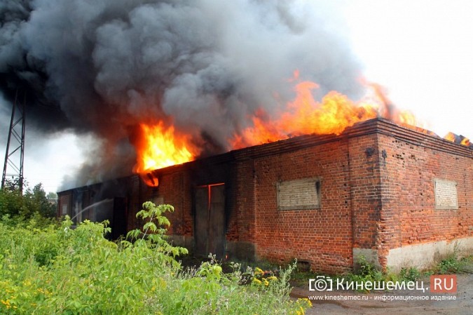 При пожаре на «Красной Ветке» сгорел склад площадью 500 кв. метров фото 16