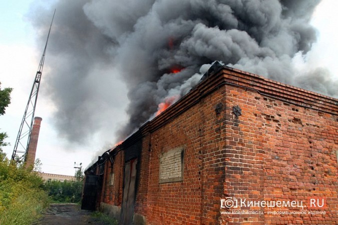 При пожаре на «Красной Ветке» сгорел склад площадью 500 кв. метров фото 17