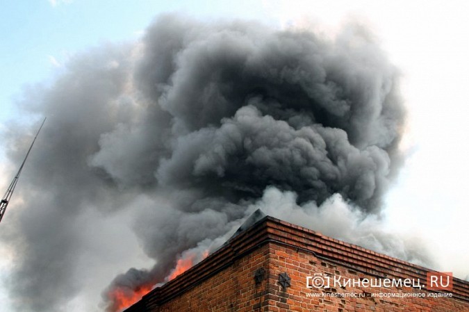 При пожаре на «Красной Ветке» сгорел склад площадью 500 кв. метров фото 3