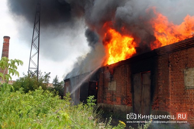 При пожаре на «Красной Ветке» сгорел склад площадью 500 кв. метров фото 15