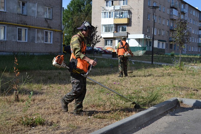 Покос травы на «Поликоре» проконтролировала депутат городской Думы Ирина Трапезникова фото 2