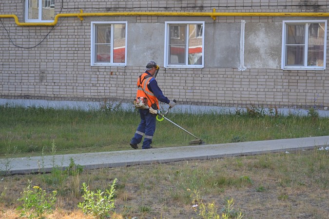 Покос травы на «Поликоре» проконтролировала депутат городской Думы Ирина Трапезникова фото 5