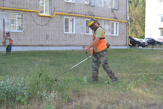 Покос травы на «Поликоре» проконтролировала депутат городской Думы Ирина Трапезникова фото 4