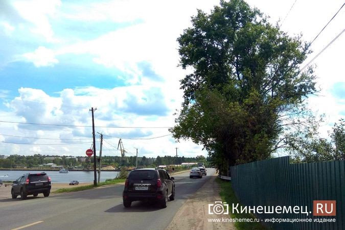 УГХ рассмотрит вопрос спила гигантских тополей у Кузнецкого моста фото 7