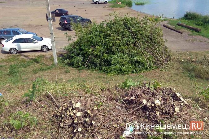 УГХ рассмотрит вопрос спила гигантских тополей у Кузнецкого моста фото 6