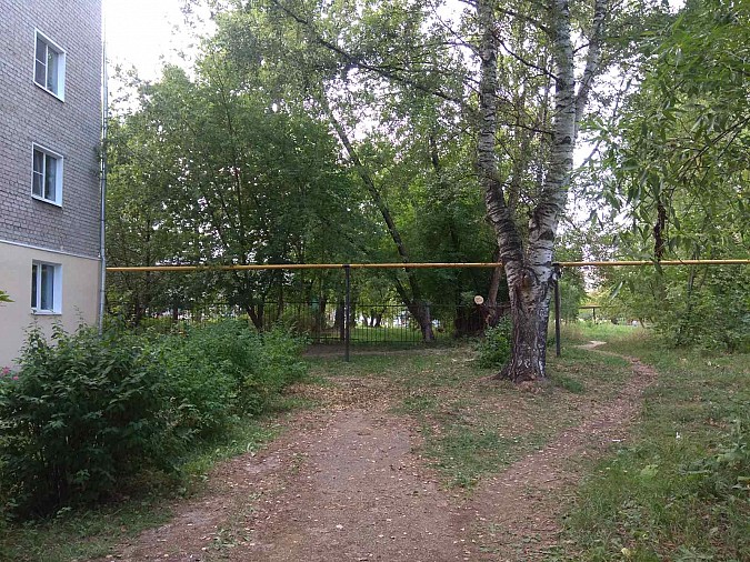 УГХ убрало упавшее дерево на газовую трубу возле д/с №15 фото 4