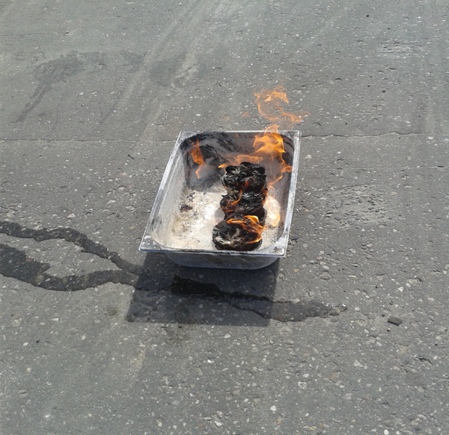 В Ивановской области сожгли импортные герберы фото 2