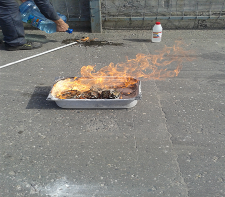 В Ивановской области сожгли импортные герберы фото 3