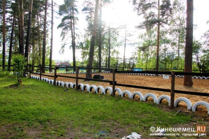 В Кинешме развивается конный спорт фото 7