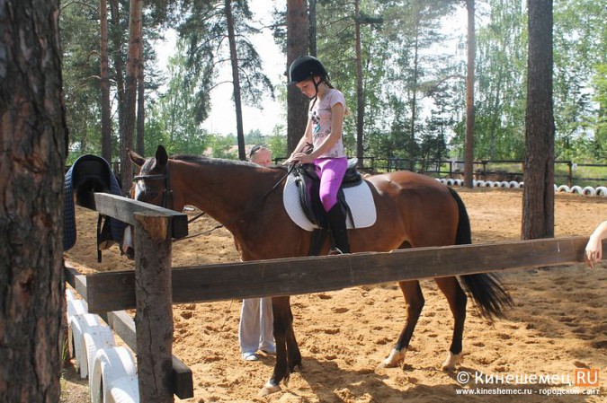 В Кинешме развивается конный спорт фото 23