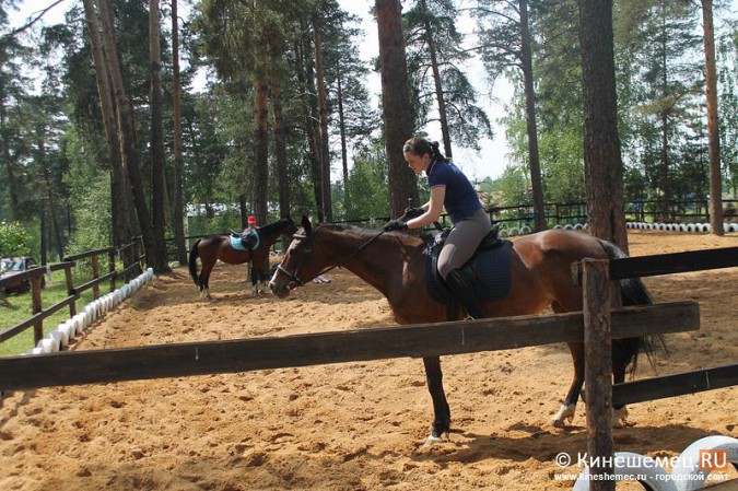 В Кинешме развивается конный спорт фото 10