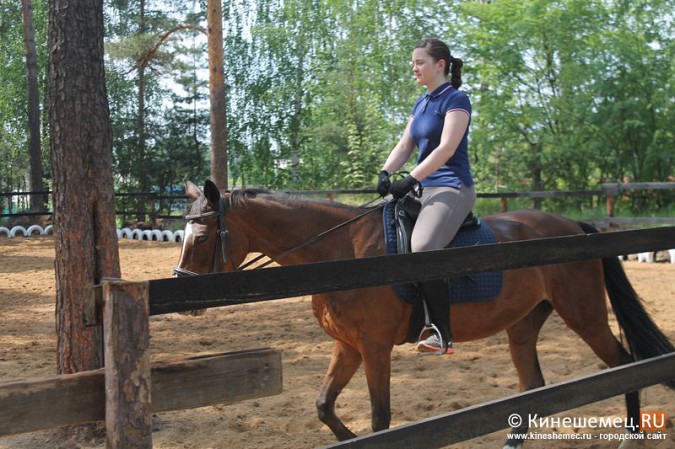 В Кинешме развивается конный спорт фото 11