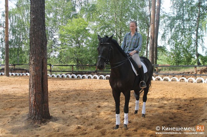В Кинешме развивается конный спорт фото 18