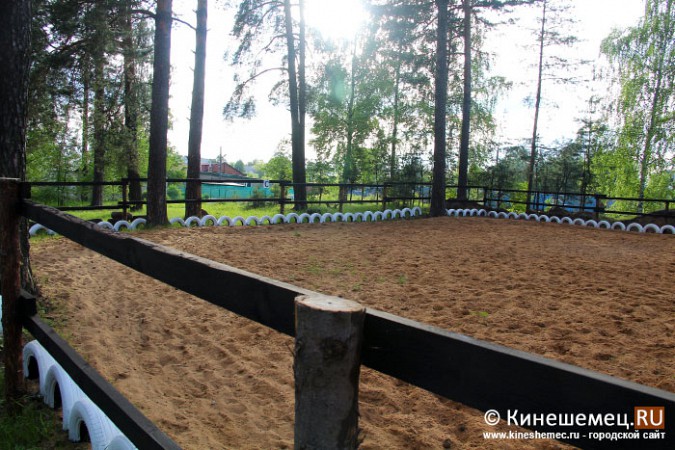 В Кинешме развивается конный спорт фото 2
