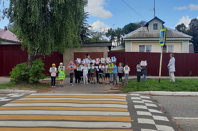 Школьники в Наволоках выстроились с плакатами у пешеходного перехода фото 3