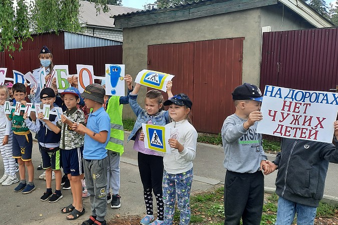 Школьники в Наволоках выстроились с плакатами у пешеходного перехода фото 2