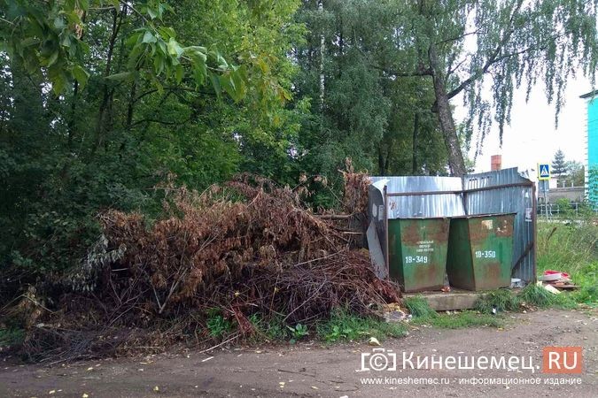 Общественность Кинешмы просит отодвинуть мусорку от храма Александра Невского фото 4