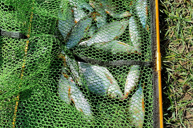 На Кинешемке прошли соревнования по ловле рыбы среди осужденных фото 4