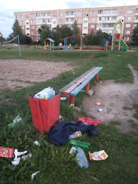 Спортплощадка на ул.Наволокской зарастает мусором фото 2