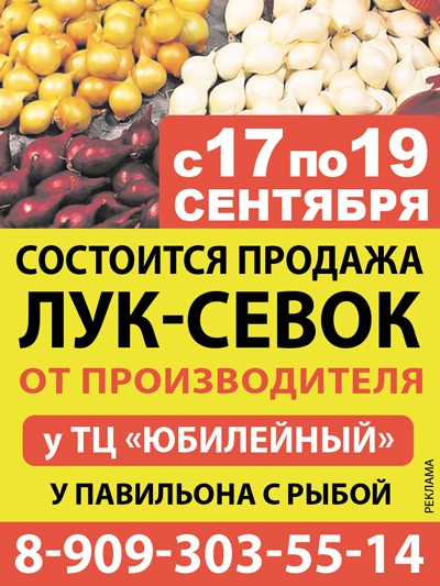 В Кинешме состоится распродажа лука от производителя фото 2