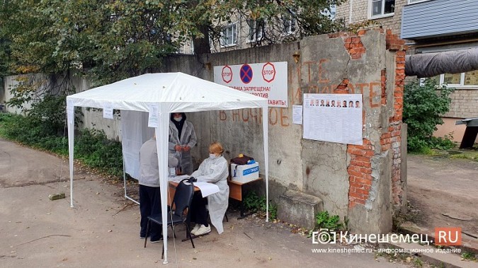 Как выглядит «пеньковое» голосование в Кинешме? фото 3
