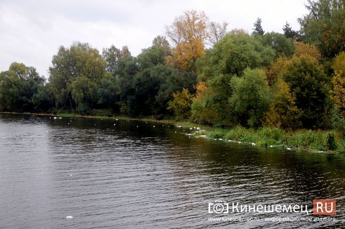 Странные хлопья пены появились на реке Казохе в Кинешме фото 3