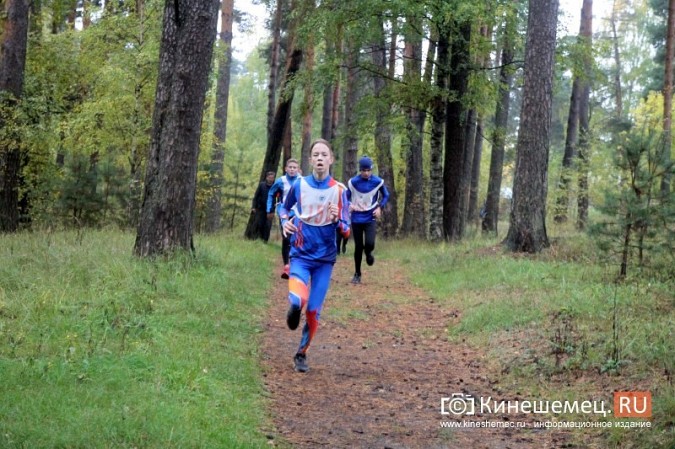 В Кинешме прошли соревнования по кроссу среди сильнейших лыжников Ивановской области фото 12