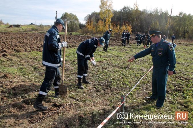 В День рождения маршала Василевского в Кинешемском районе высадили 1000 кедров фото 36