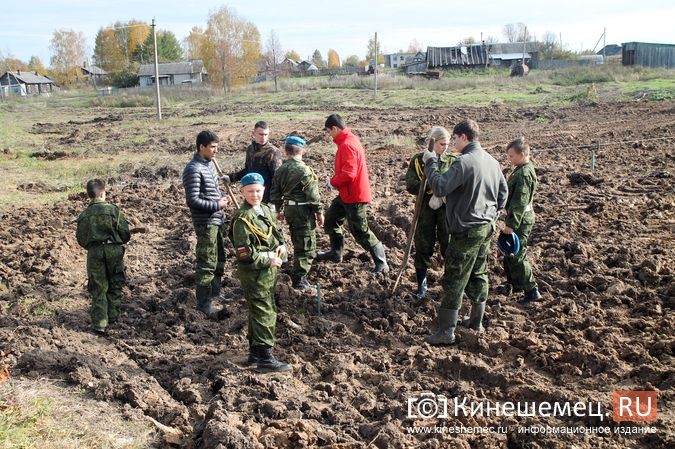 В День рождения маршала Василевского в Кинешемском районе высадили 1000 кедров фото 25