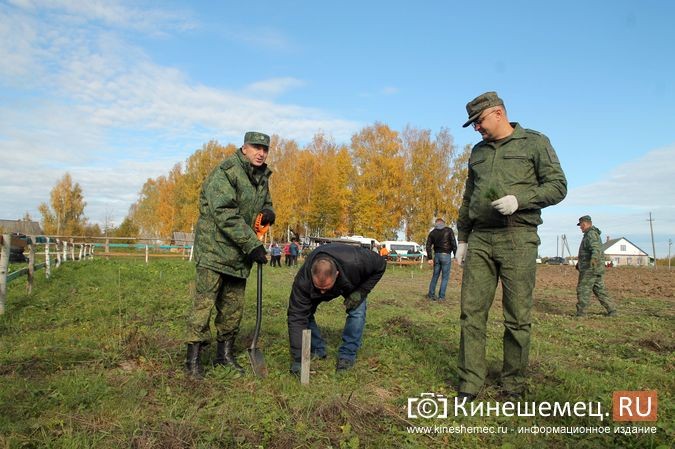 В День рождения маршала Василевского в Кинешемском районе высадили 1000 кедров фото 27